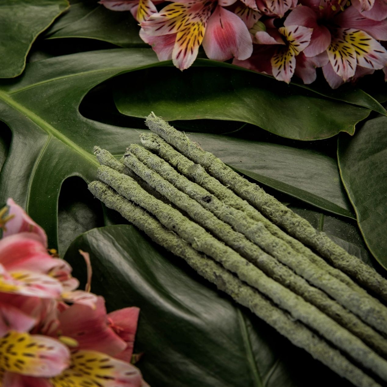 Incenso Natural Botânico Chá Verde e Flor Champa Sagrada Madre